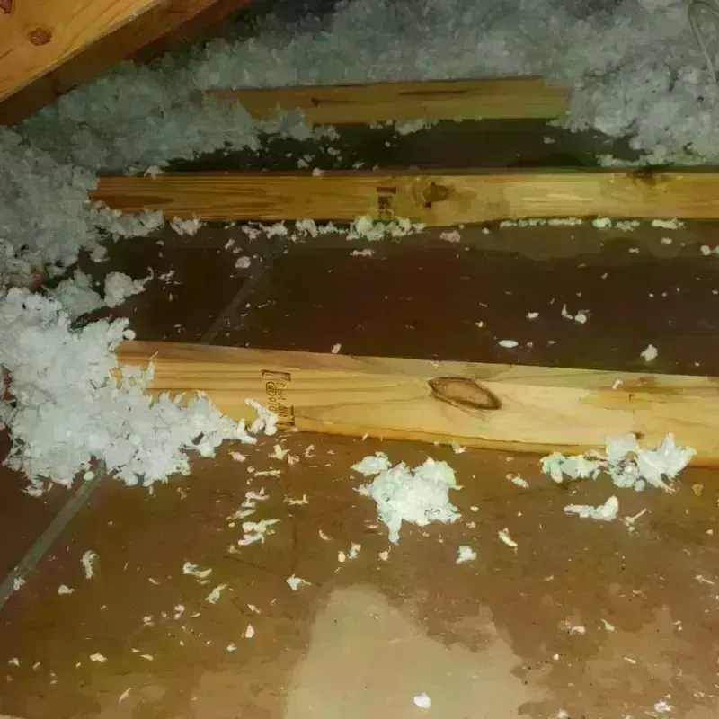 Attic Water Damage in Middletown, CA