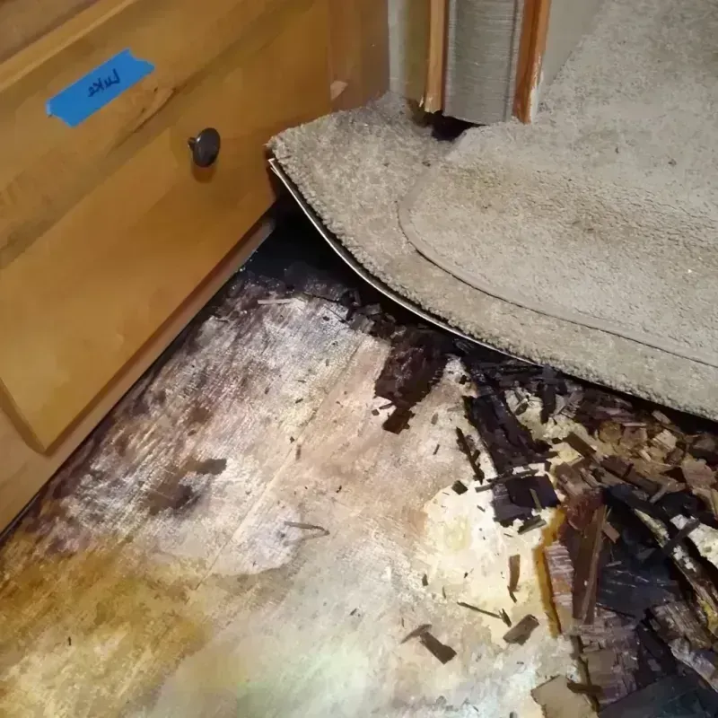 Wood Floor Water Damage in Middletown, CA